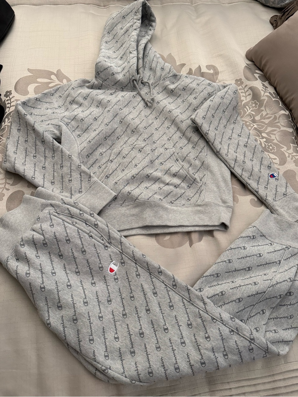 Champion Gray Reverse Weave Small Hoodie with Script Logo Print